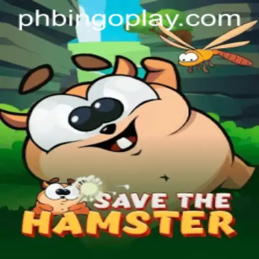 Explore SavetheHamster: The Exciting World of 'phbingo'